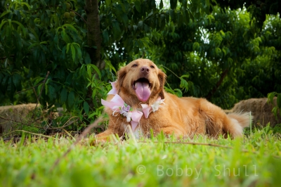 Mg 6205 - Professional People photography by Bobby Shull