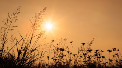 Mg 9573 - Professional Sunscapes photography by Bobby Shull